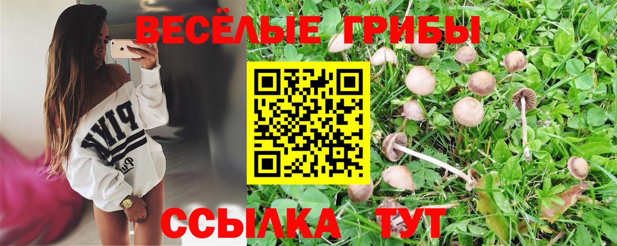 хочу   Вход с VPN  Домодедово  Галлюциногенные грибы ЛСД 